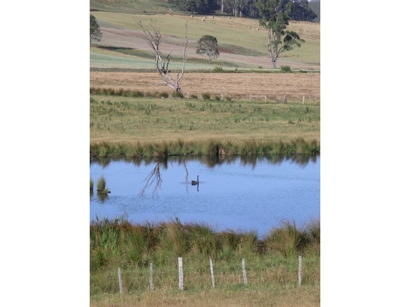 318 Bengeo Road, Deloraine TAS 7304