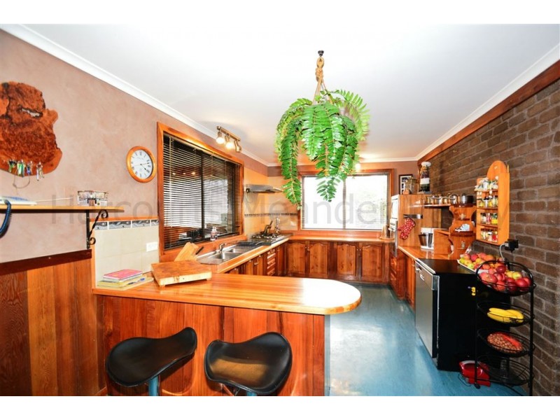 84 Union Bridge Road, Mole Creek TAS 7304