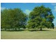 318 Bengeo Road, Deloraine TAS 7304