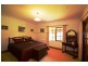 464 Larcombes Road, Reedy Marsh TAS 7304