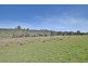 Lot 2 Birralee Road, Birralee TAS 7303