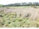Lot 2 Birralee Road, Birralee TAS 7303