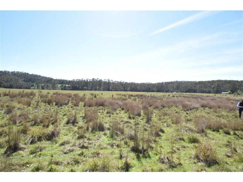 Lot 2 Birralee Road, Birralee TAS 7303