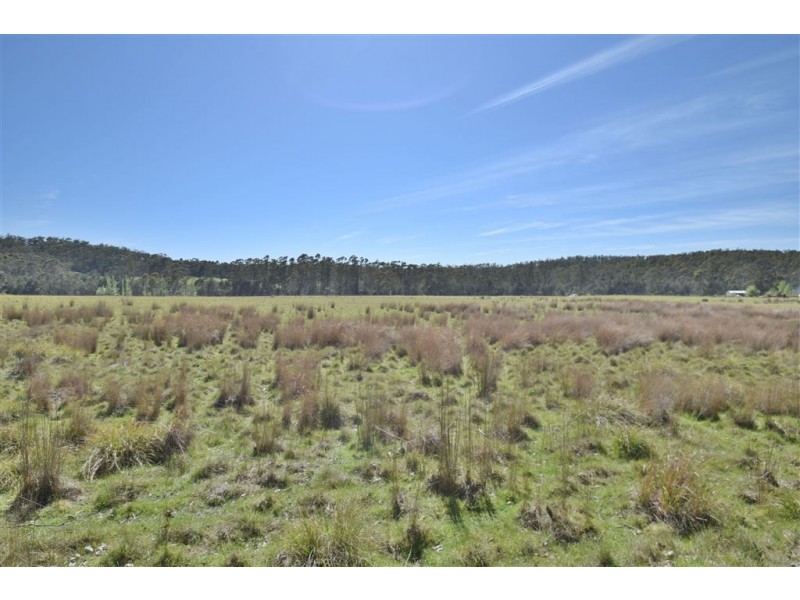 Lot 2 Birralee Road, Birralee TAS 7303