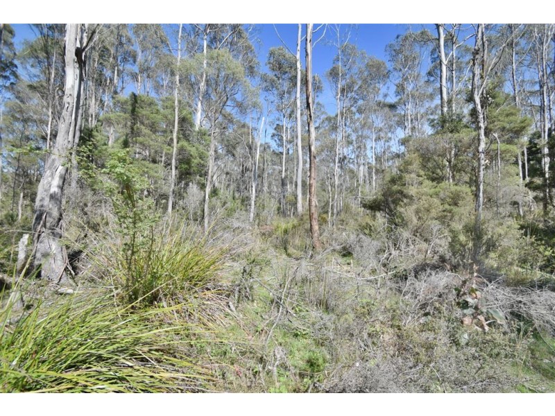 Lot 2 Birralee Road, Birralee TAS 7303