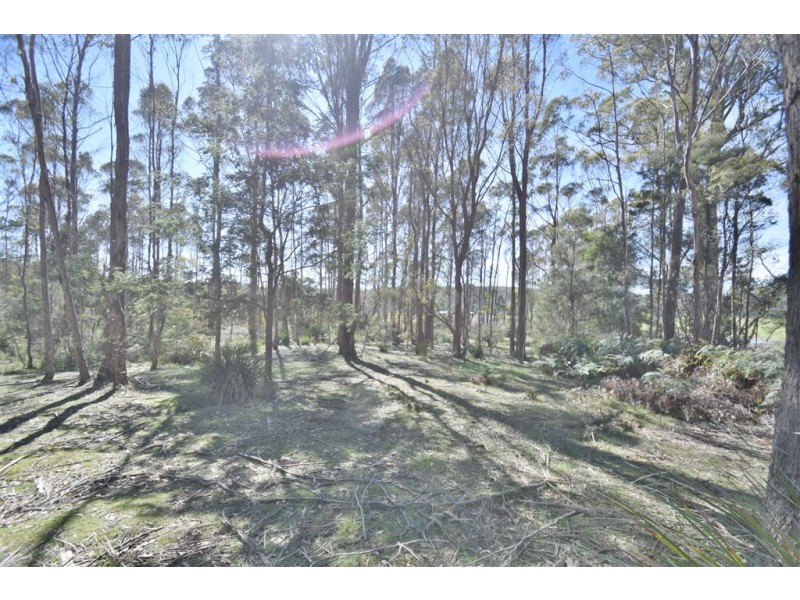 Lot 2 Birralee Road, Birralee TAS 7303