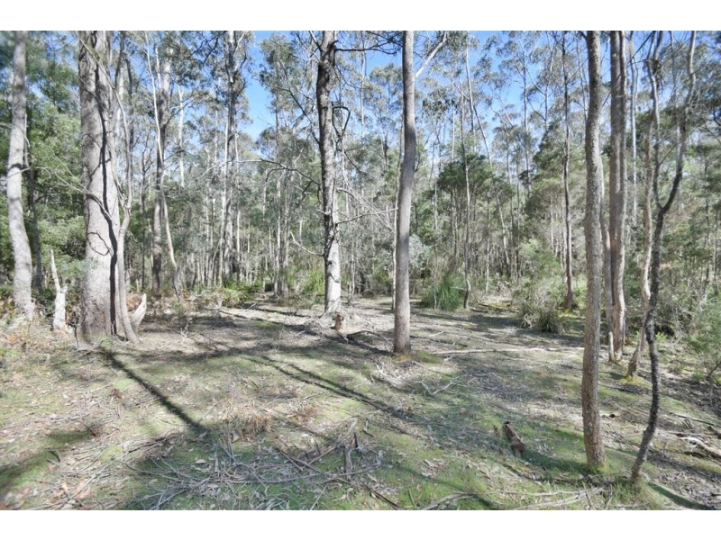 Lot 2 Birralee Road, Birralee TAS 7303