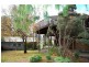 484 Caveside Rd, Mole Creek TAS 7304
