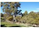 484 Caveside Rd, Mole Creek TAS 7304