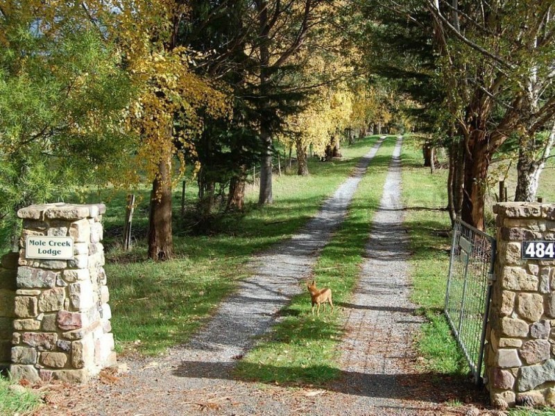 484 Caveside Rd, Mole Creek TAS 7304