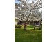 1 Clayton Place, Deloraine TAS 7304