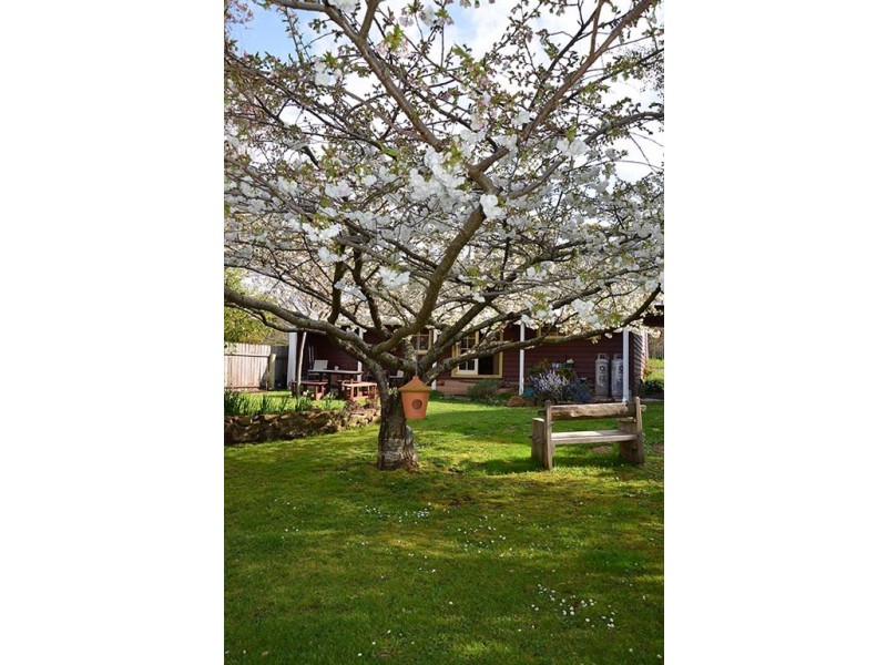 1 Clayton Place, Deloraine TAS 7304