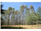 0 Western Creek Rd, Western Creek TAS 7304