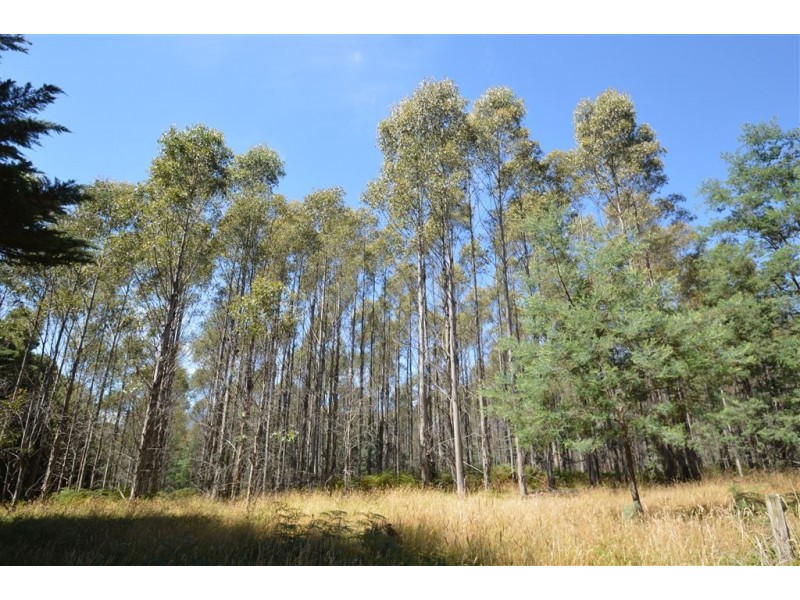 0 Western Creek Rd, Western Creek TAS 7304