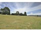 264 Scotts Rd, Mole Creek TAS 7304