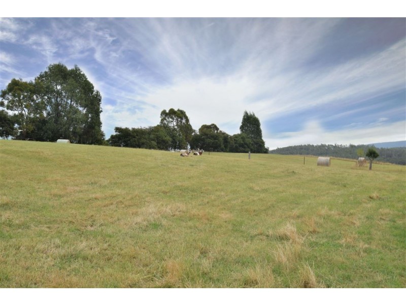 264 Scotts Rd, Mole Creek TAS 7304