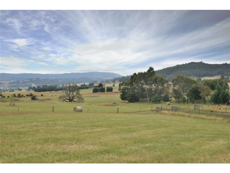 264 Scotts Rd, Mole Creek TAS 7304