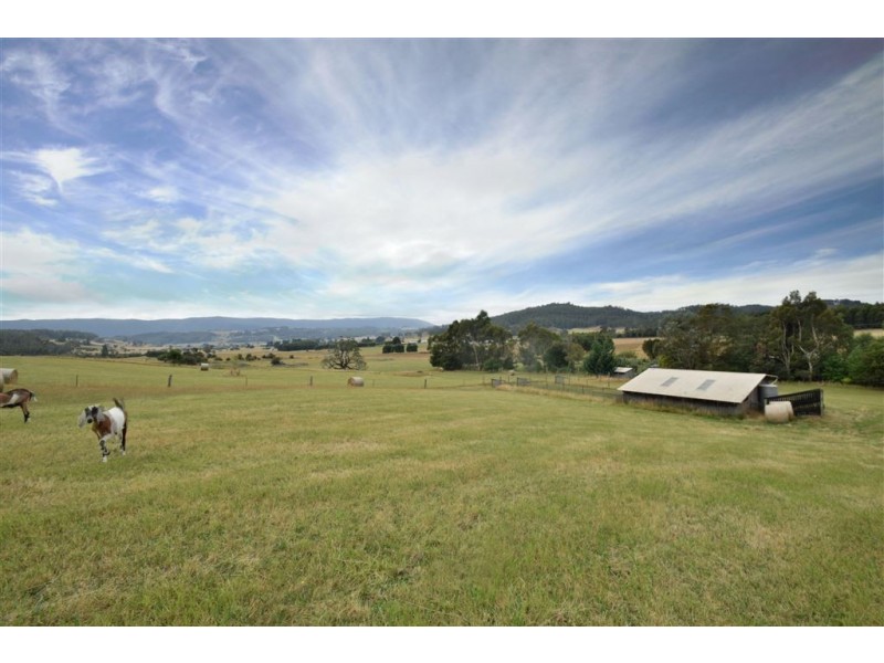 264 Scotts Rd, Mole Creek TAS 7304