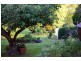 1 Clayton Place, Deloraine TAS 7304