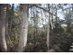 0 Johns Road, Reedy Marsh TAS 7304
