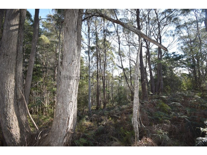 0 Johns Road, Reedy Marsh TAS 7304