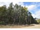 0 Johns Road, Reedy Marsh TAS 7304