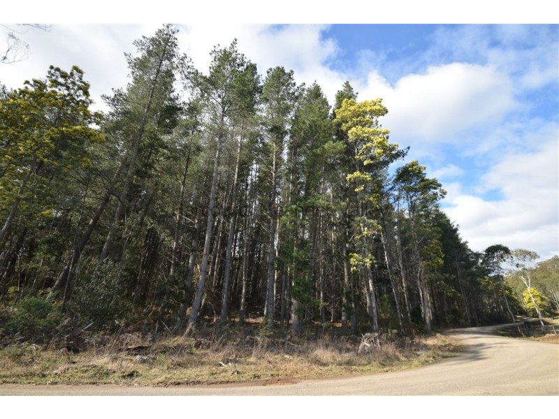 0 Johns Road, Reedy Marsh TAS 7304