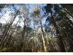 0 Johns Road, Reedy Marsh TAS 7304