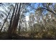 0 Johns Road, Reedy Marsh TAS 7304