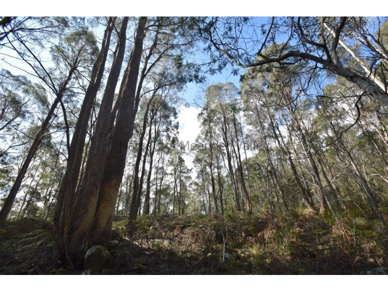 0 Johns Road, Reedy Marsh TAS 7304