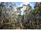 0 Johns Road, Reedy Marsh TAS 7304