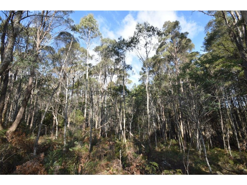 0 Johns Road, Reedy Marsh TAS 7304