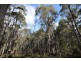0 Johns Road, Reedy Marsh TAS 7304