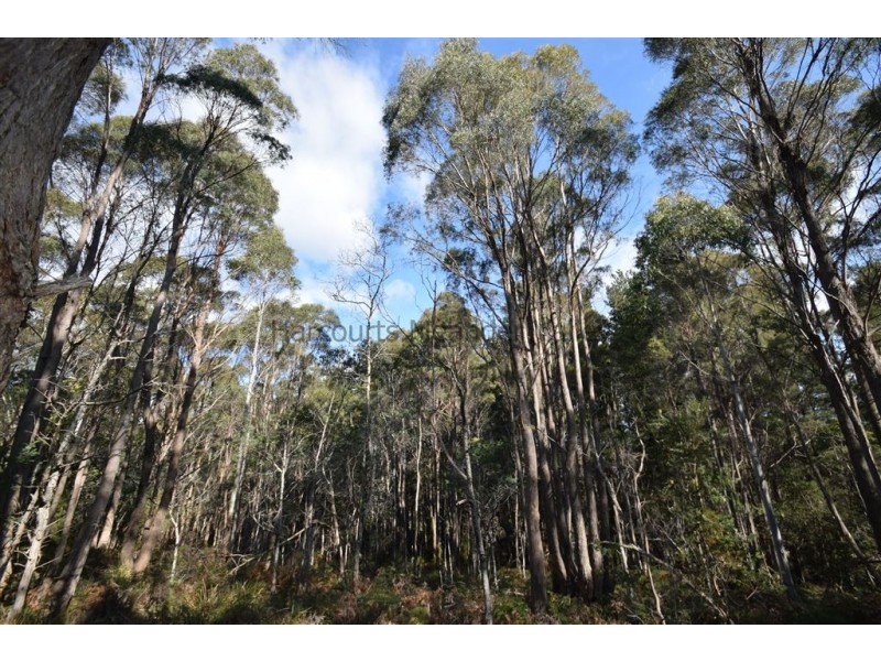 0 Johns Road, Reedy Marsh TAS 7304