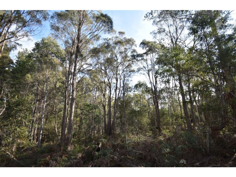 0 Johns Road, Reedy Marsh TAS 7304