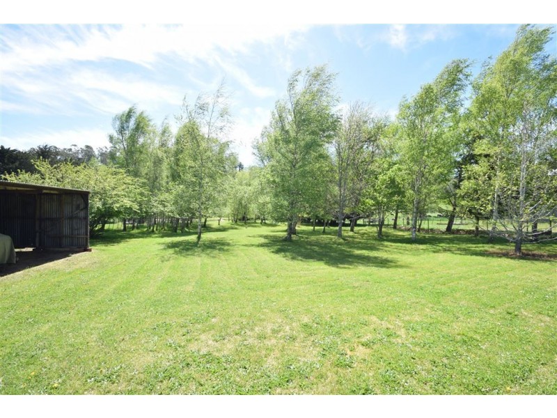 54 Pioneer Drive, Mole Creek TAS 7304