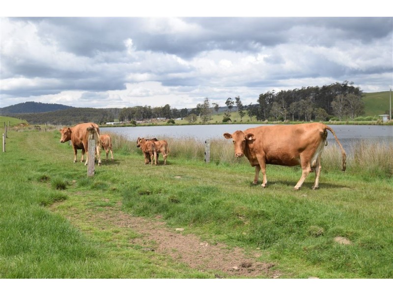 139 Maroneys Road, Quamby Brook TAS 7304