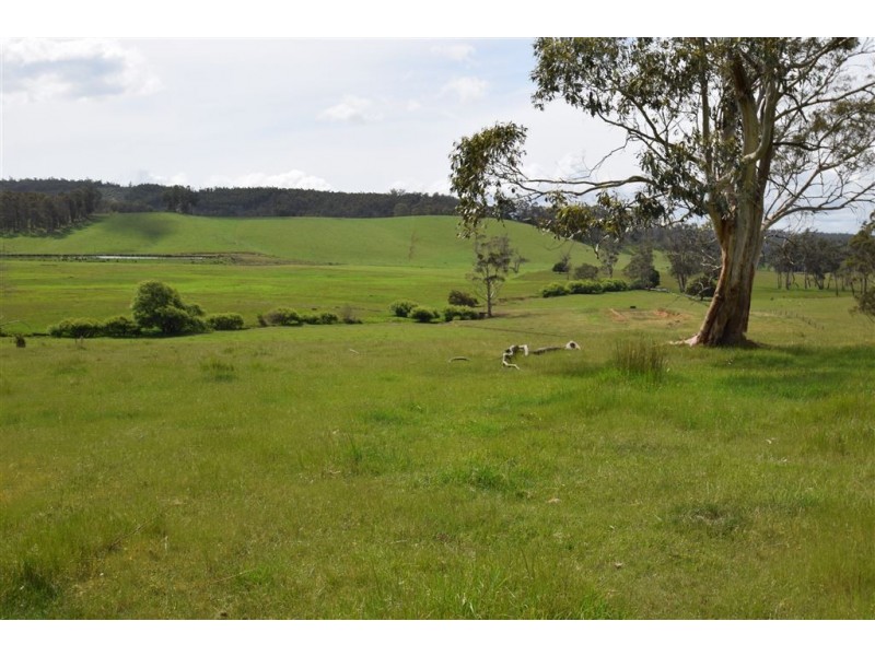 139 Maroneys Road, Quamby Brook TAS 7304