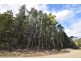 0 Johns Road, Reedy Marsh TAS 7304