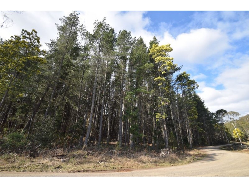 0 Johns Road, Reedy Marsh TAS 7304
