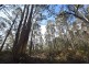 0 Johns Road, Reedy Marsh TAS 7304