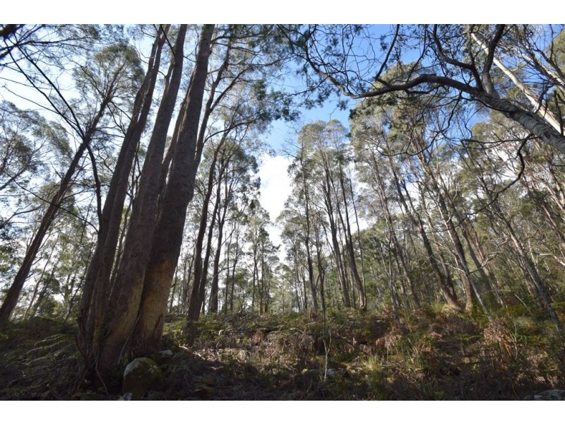 0 Johns Road, Reedy Marsh TAS 7304