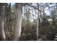 0 Johns Road, Reedy Marsh TAS 7304