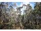 0 Johns Road, Reedy Marsh TAS 7304