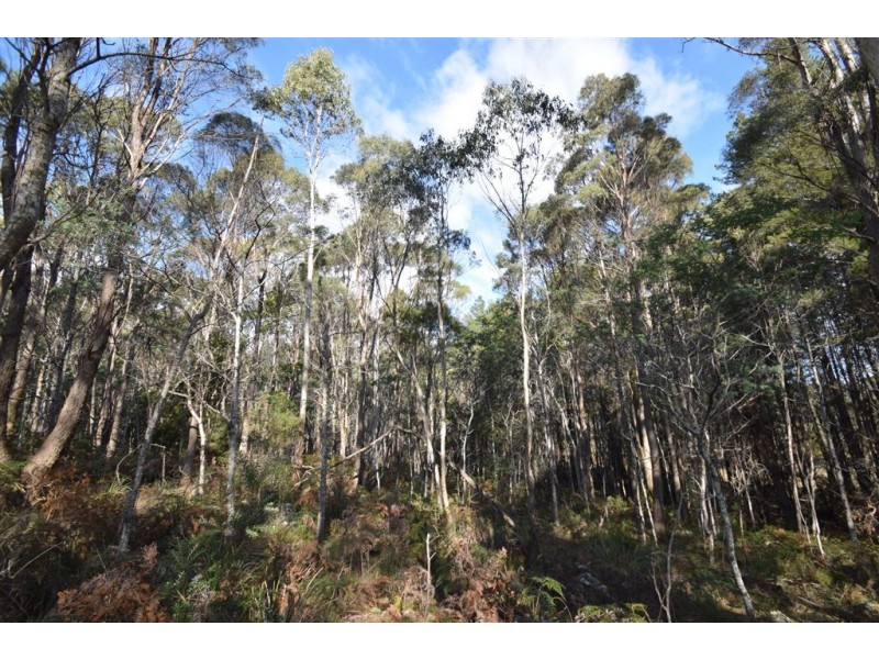 0 Johns Road, Reedy Marsh TAS 7304