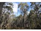 0 Johns Road, Reedy Marsh TAS 7304