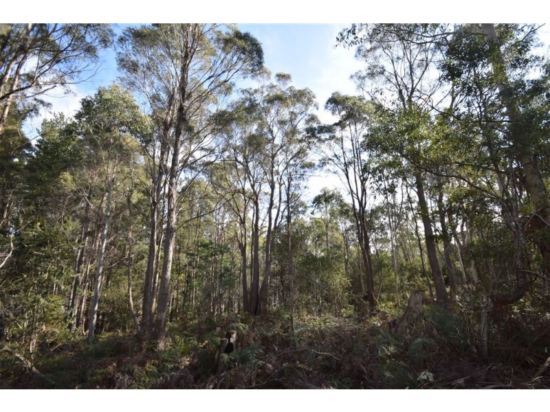 0 Johns Road, Reedy Marsh TAS 7304