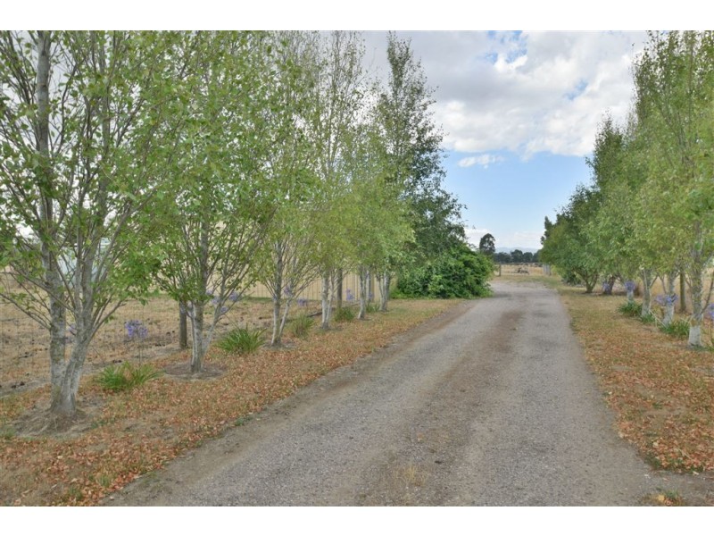 16 Allotment Parade, Westbury TAS 7303