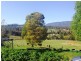 119 Dynans Bridge Road, Weegena TAS 7304