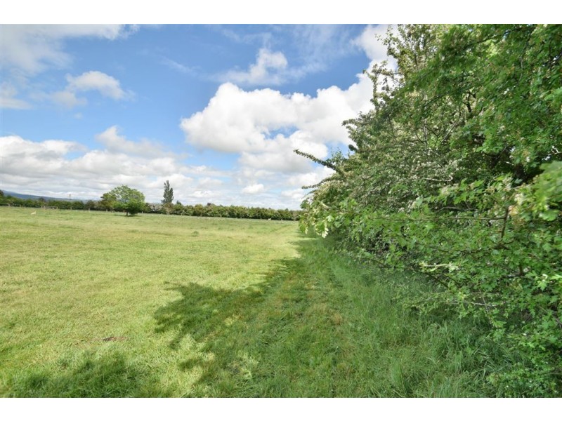 62 Pensioners Row, Westbury TAS 7303